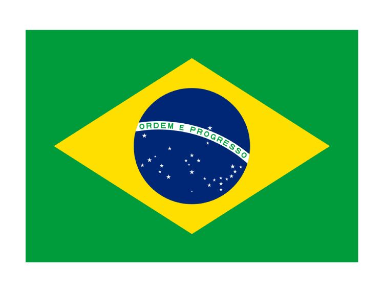 巴西商务签证