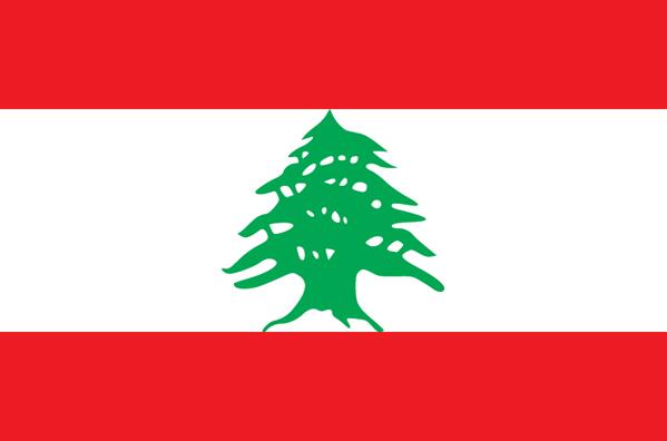 黎巴嫩商务签证（简单资料包签）